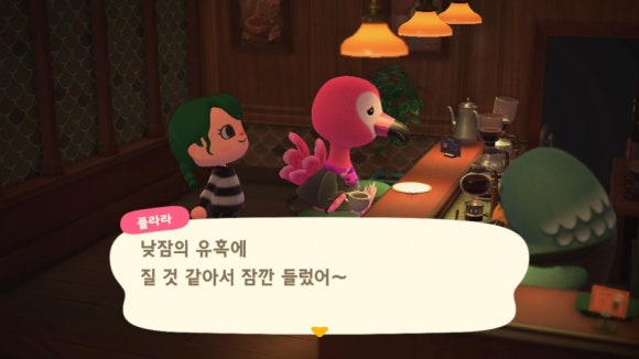 플라라 이미지
