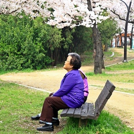 꽃보라화원 이미지