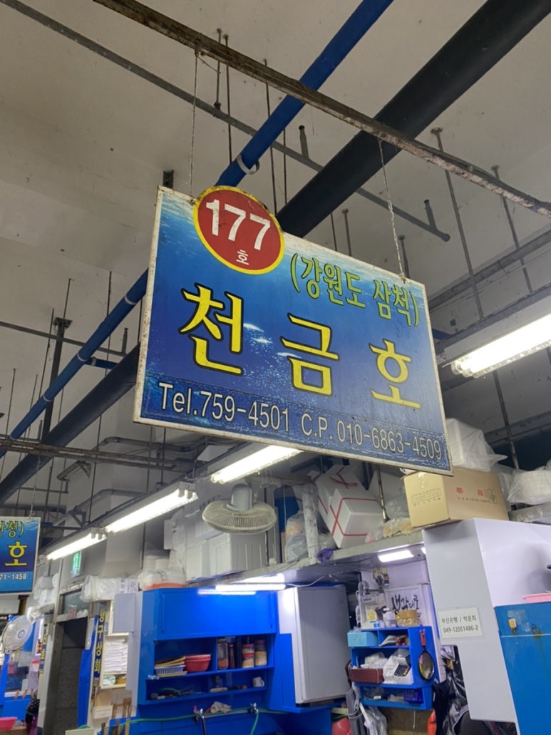 천금호 이미지