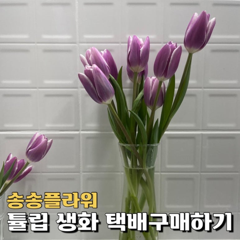 더송송 이미지