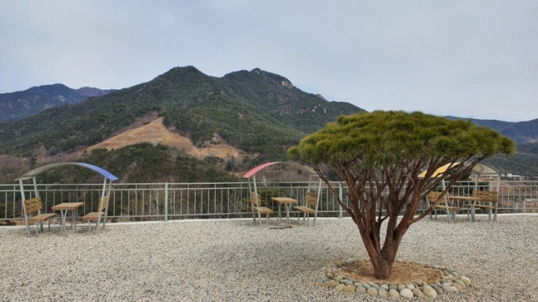 지리산약초관광농원 이미지