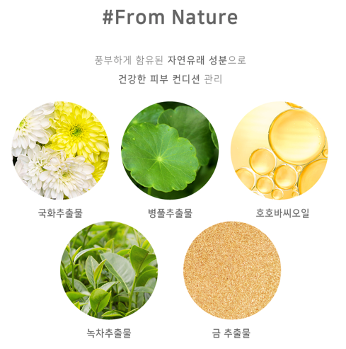 금빛에너지 이미지