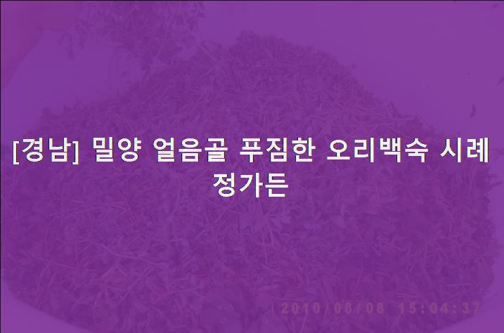 오리정가 이미지