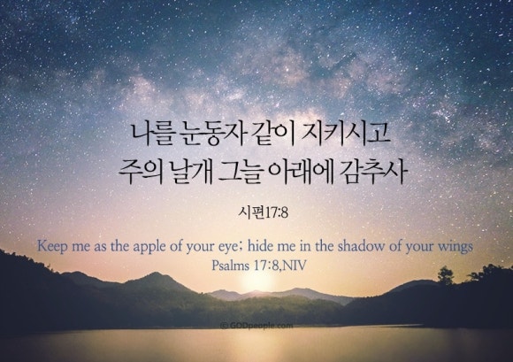할매낙지마당 이미지