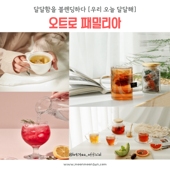 오트로 패밀리아 이미지
