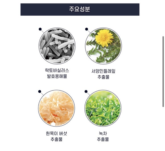 워시홀 이미지