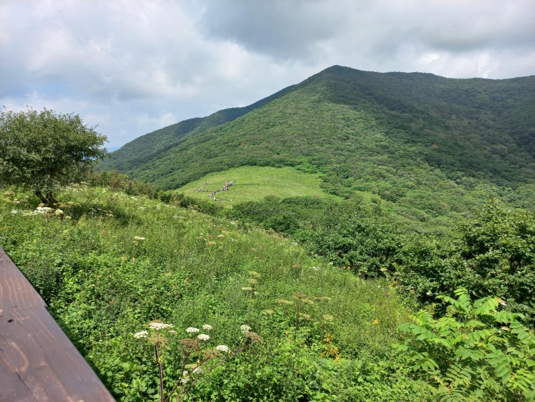 천사화원 이미지