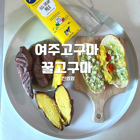 진영팜 이미지