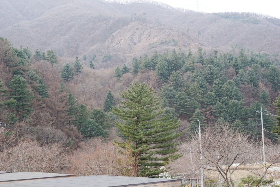 산마을관광농원 이미지