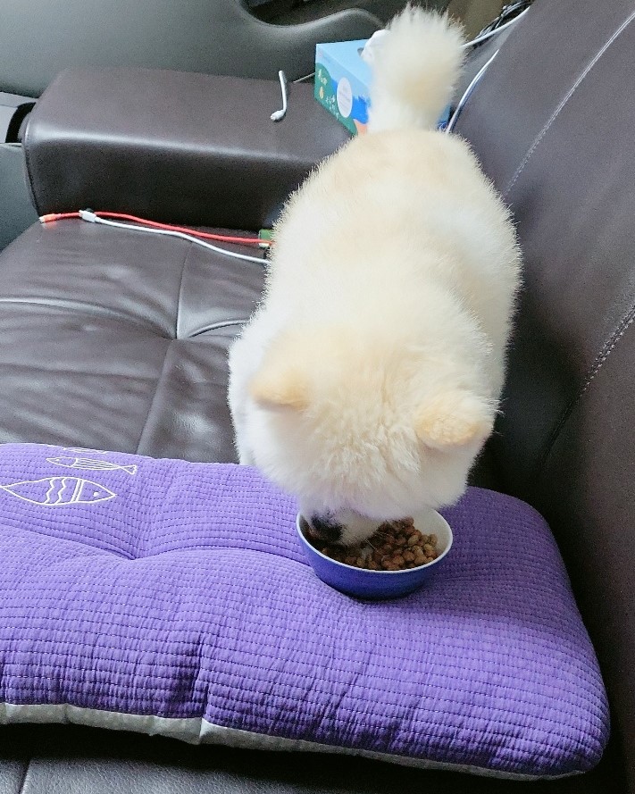 강두부 이미지