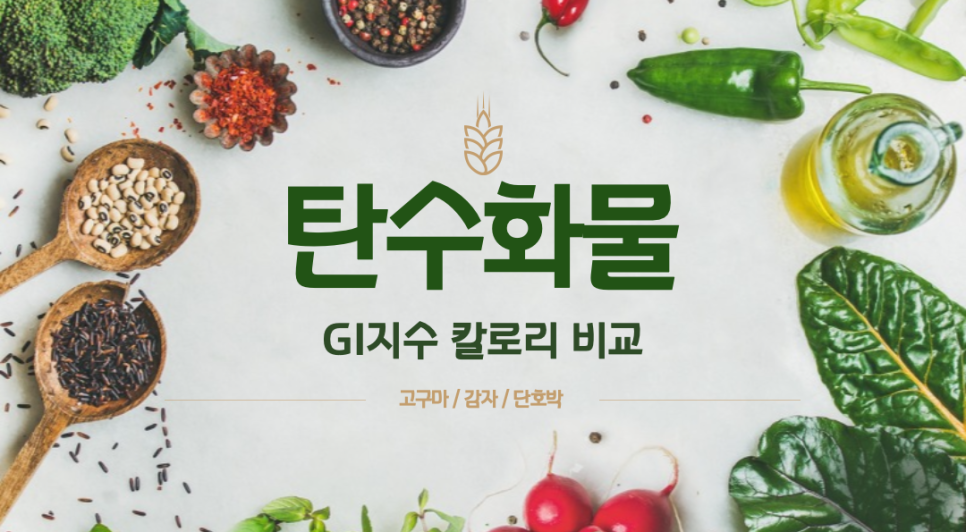 카발로짐 이미지
