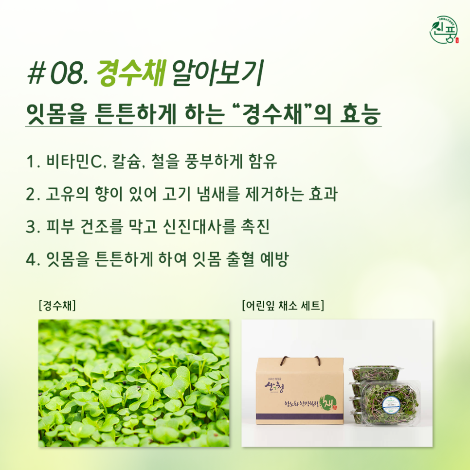 신풍영농조합법인 이미지