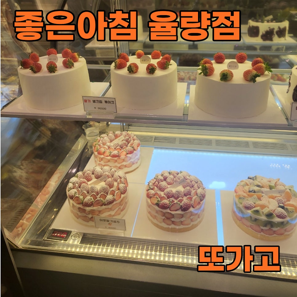 좋은아침율량 이미지