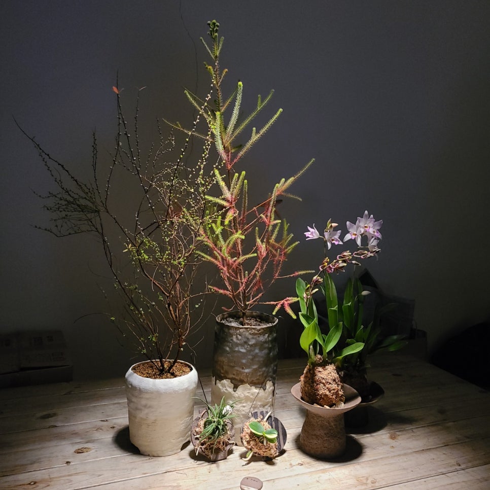 선경도예 이미지