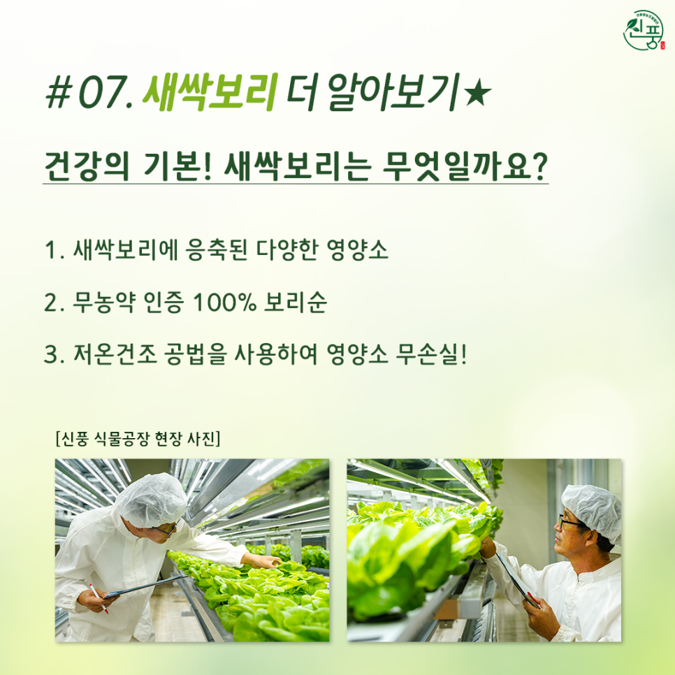 신풍영농조합법인 이미지