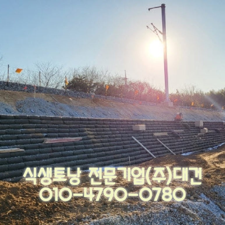 대건주 이미지