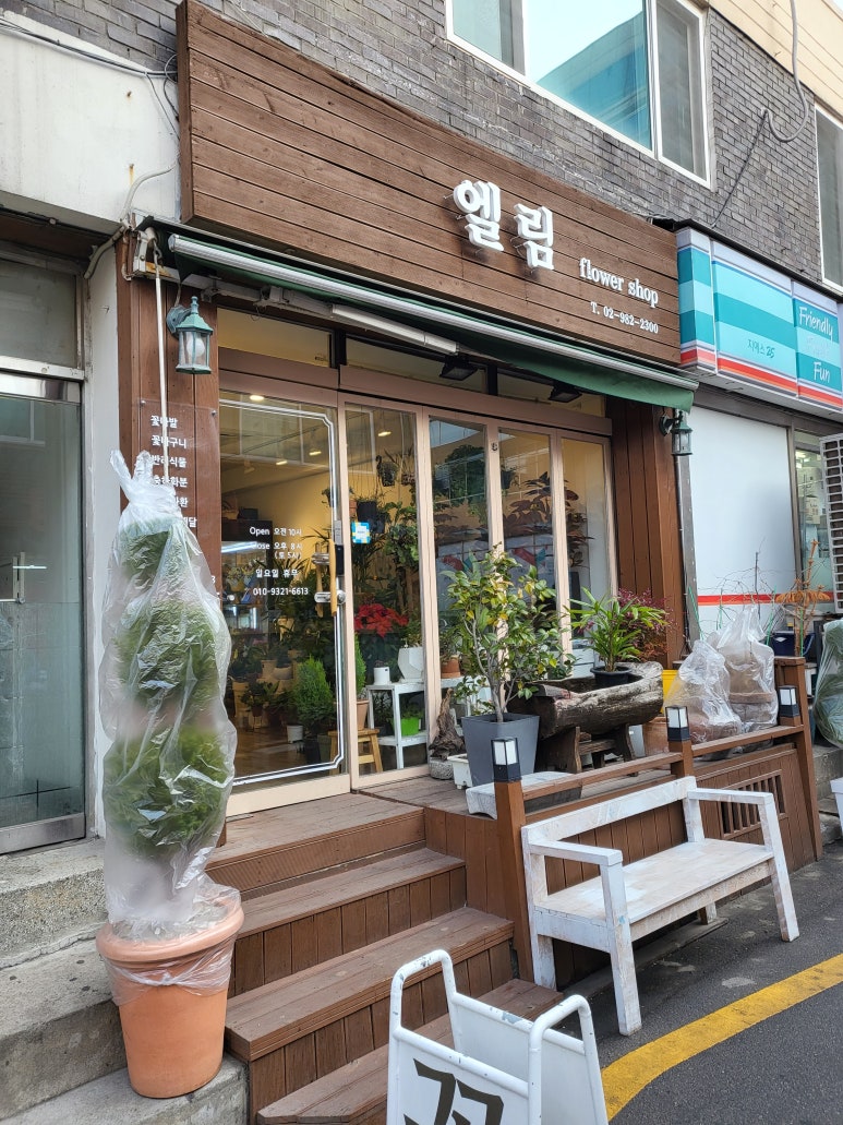 엘림플라워 이미지