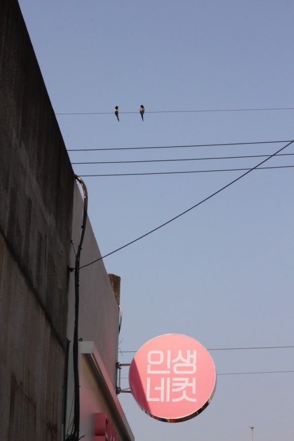 경일공업사 이미지