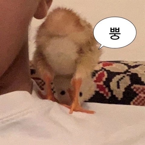 오디너리부산 이미지