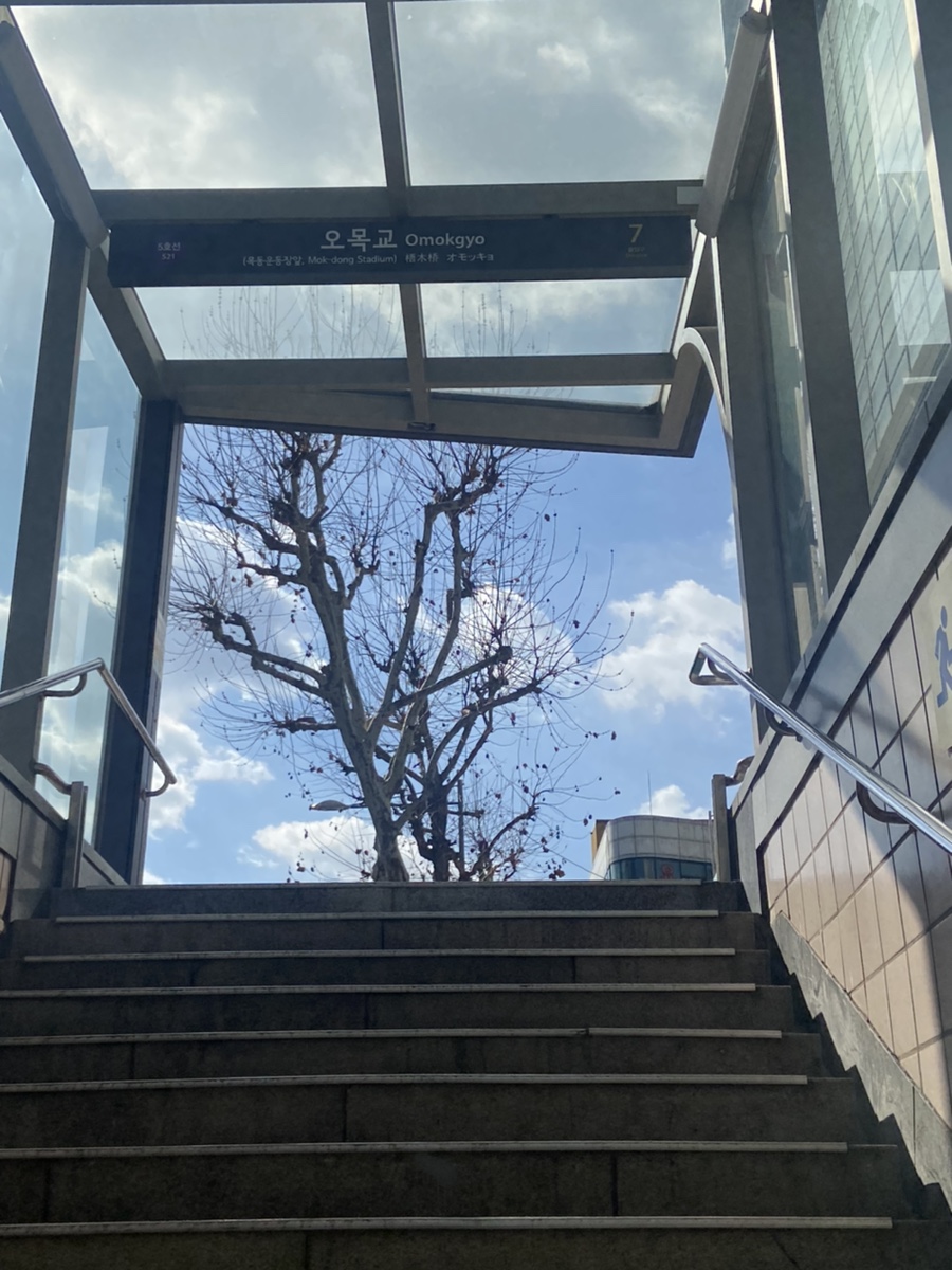 다시설레다 이미지