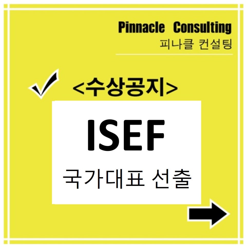 피나클컨설팅 이미지