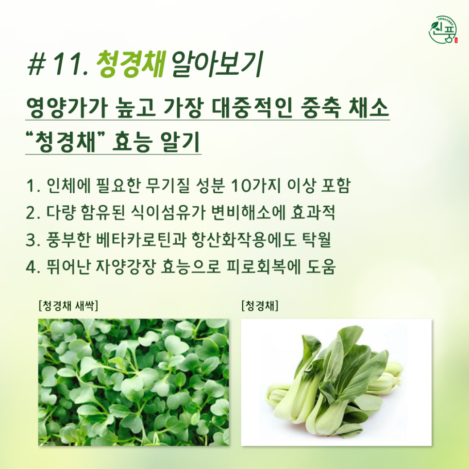 신풍영농조합법인 이미지
