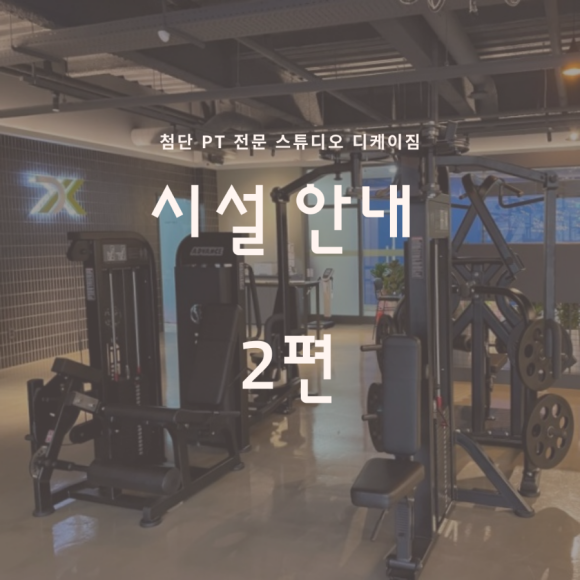디케이짐 이미지