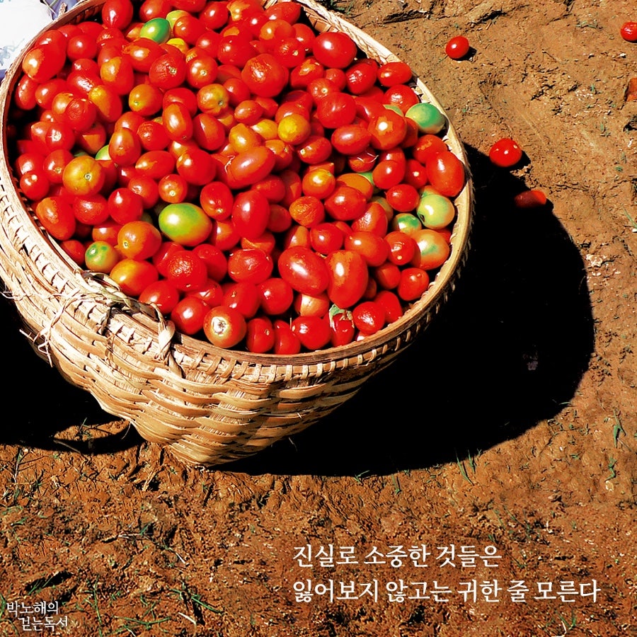 인생전집 이미지
