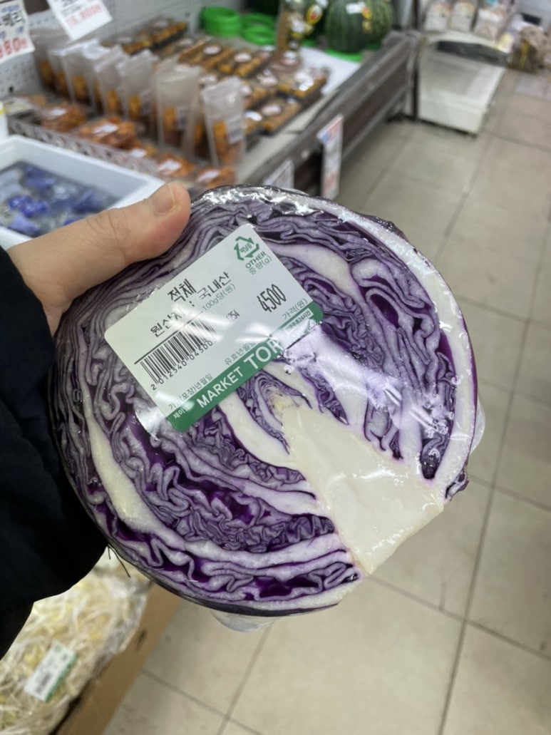 딸찬 이미지