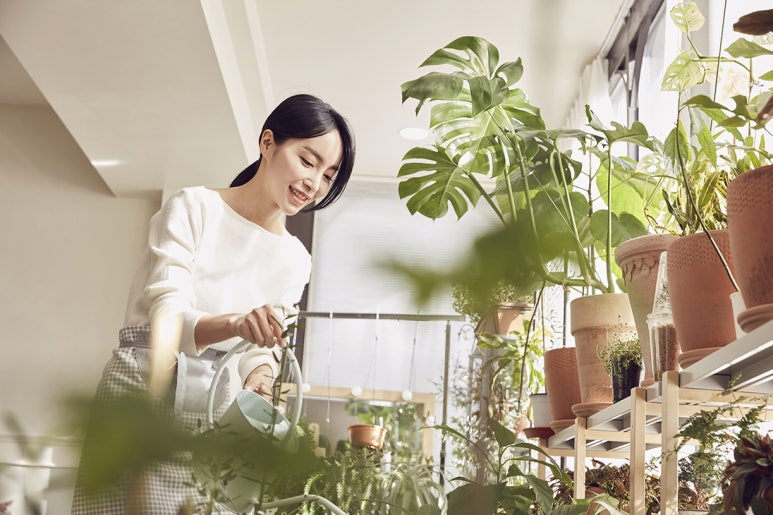 솔연 이미지