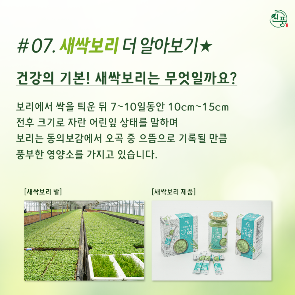 신풍영농조합법인 이미지