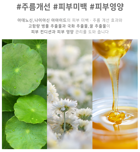 골든비 이미지