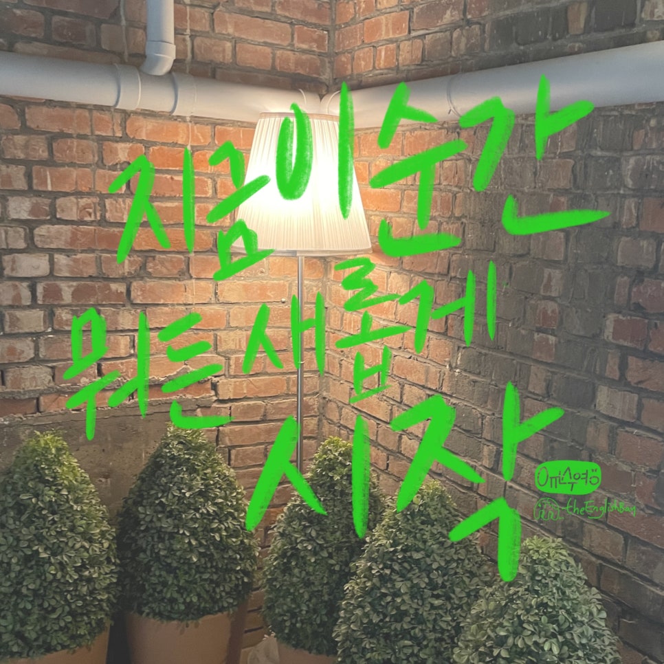 숙이언니 이미지