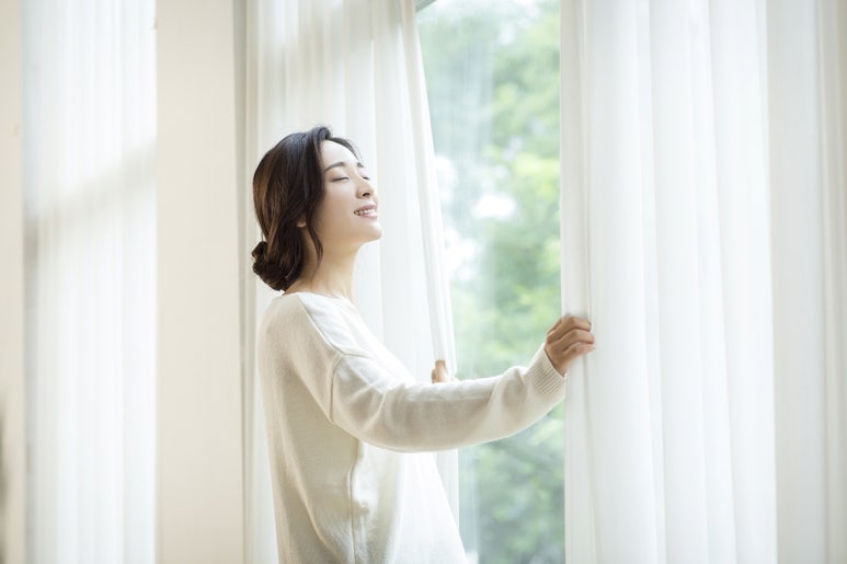 솔연 이미지