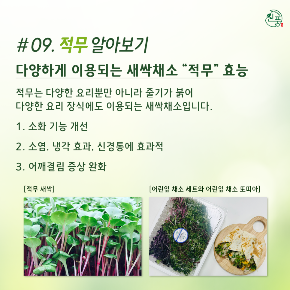 신풍영농조합법인 이미지