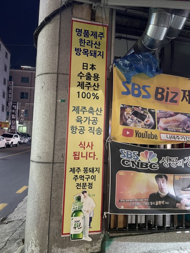 한라산똥돼지 이미지