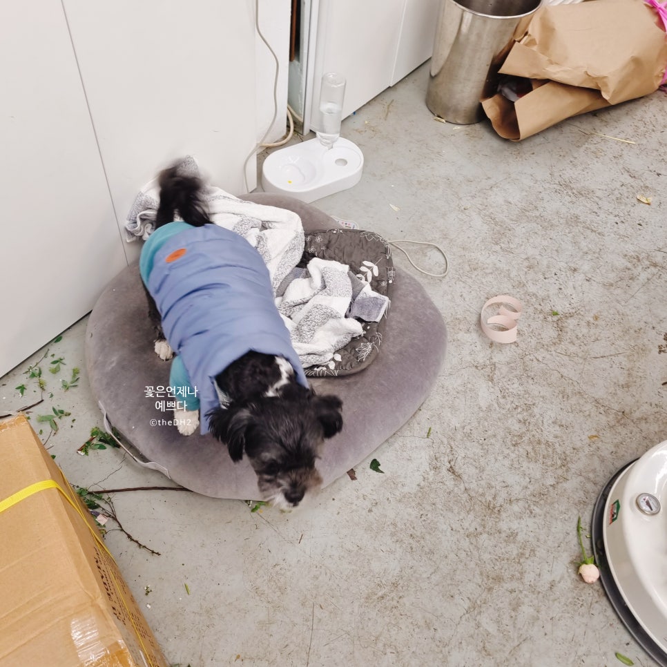 임광세탁 이미지