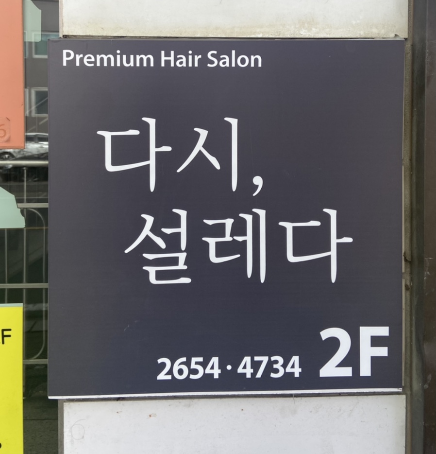 다시설레다 이미지