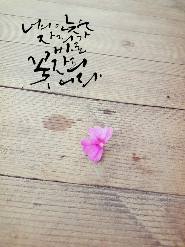 여기;꽃자리 이미지