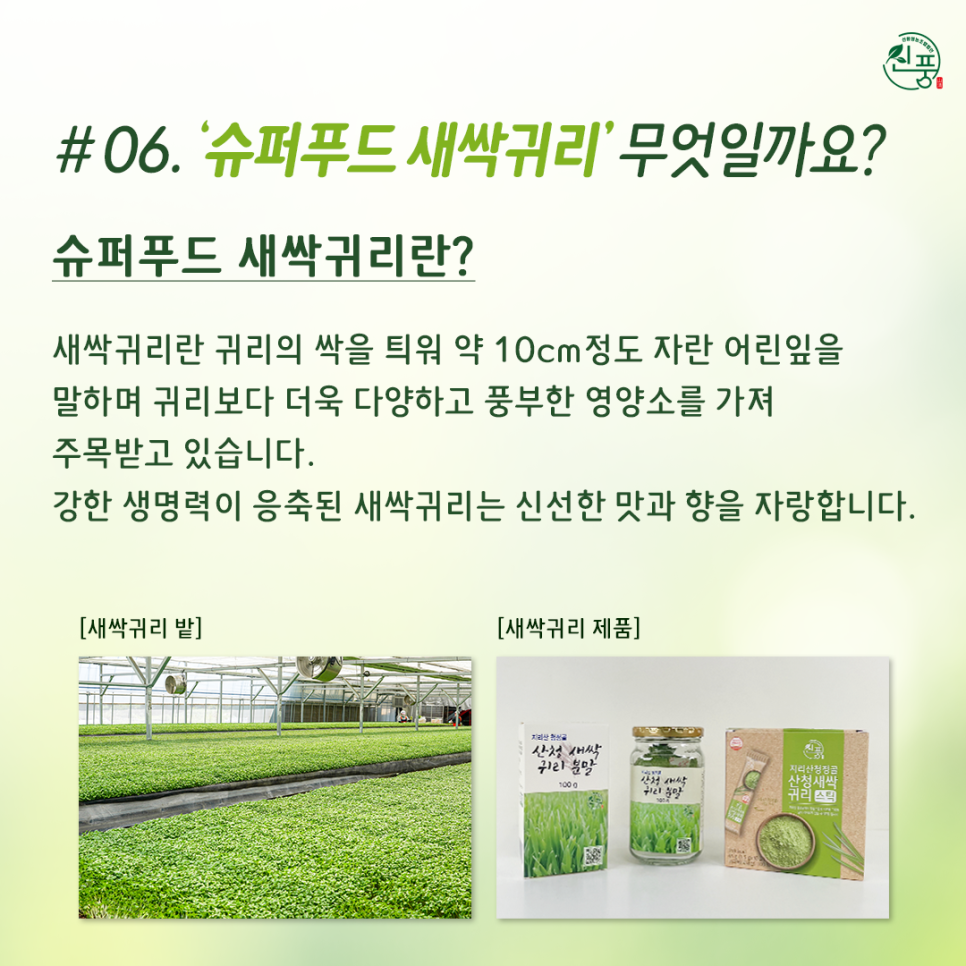 신풍슈퍼 이미지