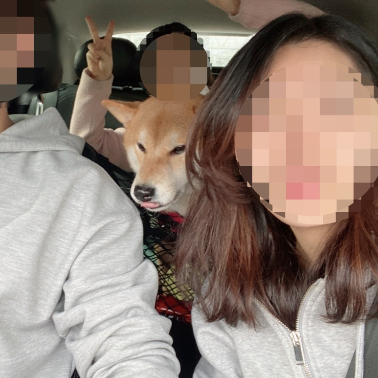 살롱드라보떼 이미지