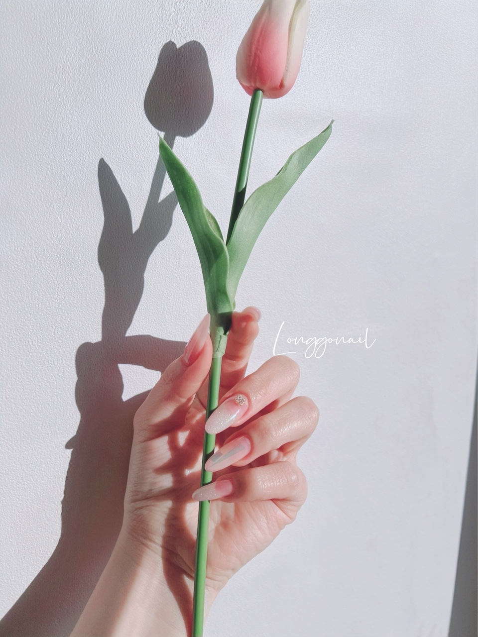 롱고네일(Longgonail) 이미지