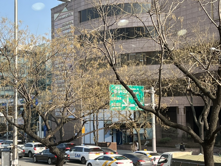 새순미용실 이미지