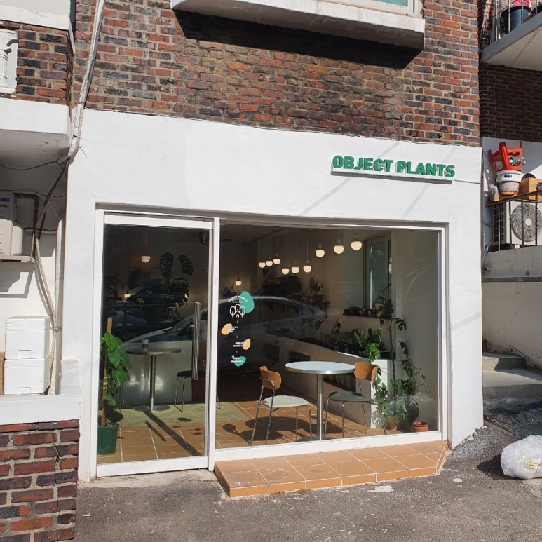오브젝트플랜츠 이미지