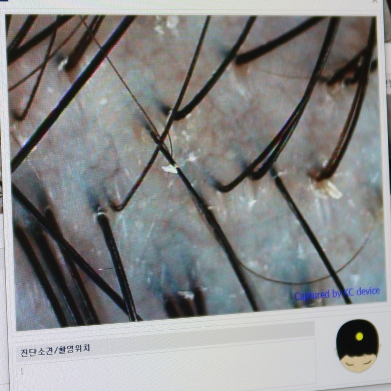 웰킨 김포장기점 이미지