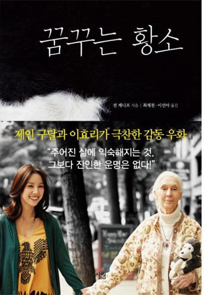 꿈꾸는황소 이미지