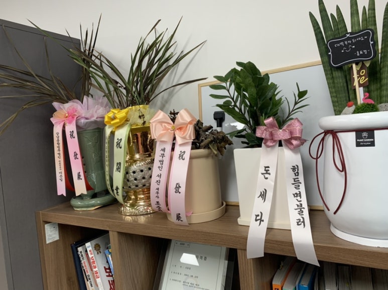 신세무회계 이미지