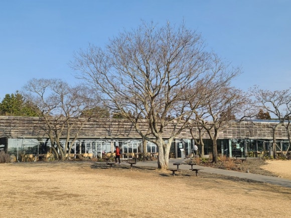 주식회사 오설록 이미지