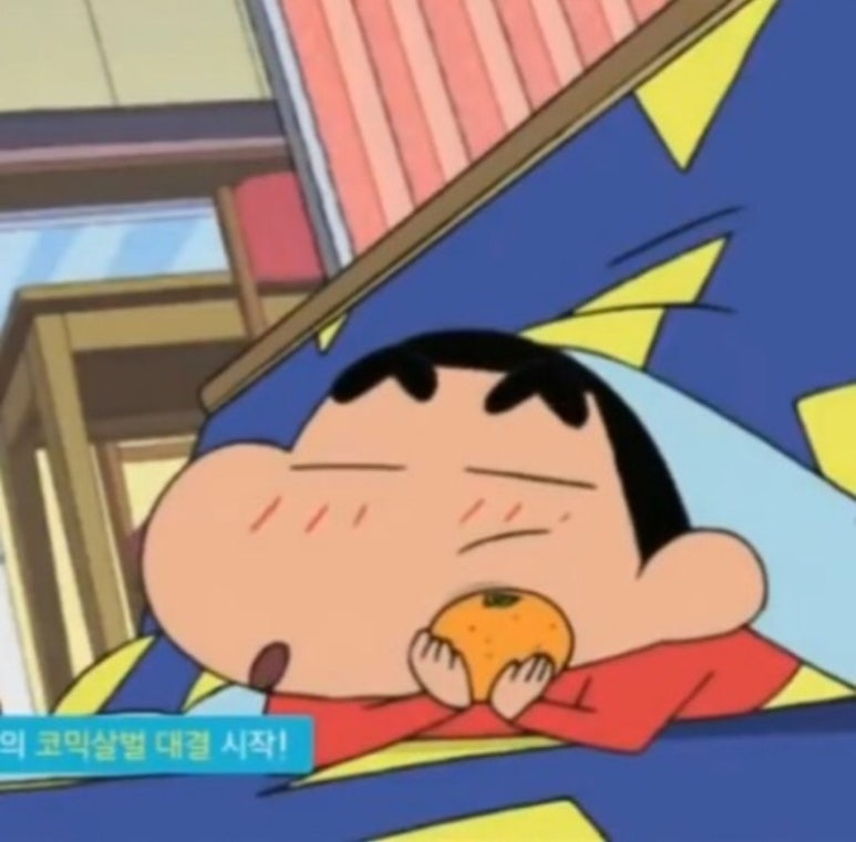 술향기 이미지
