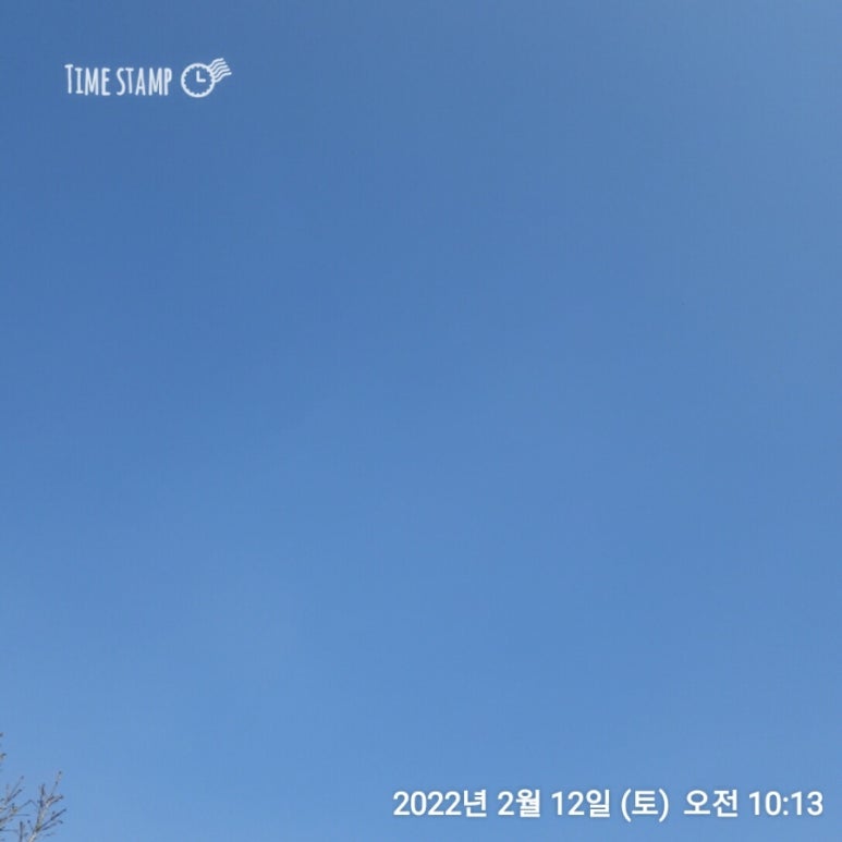 옛돈203 이미지